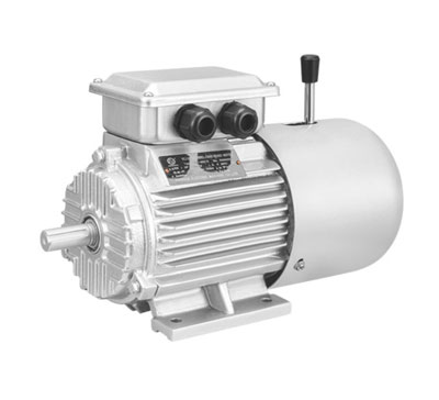 YEJ系列電磁制動三相異步電動機